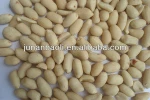 wholesale peanuts in shell