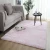 Wholesale Plush Soft Carpets For Living Room Anti-slip Floor Mats Bedroom Water Absorption Carpet Rugs