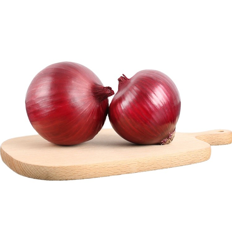 Wholesale Premium Grade New Crop Mesh 100% Natural Fresh Red Onion/onions