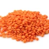 Wholesale Red lentils