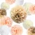 Import Wholesale Wedding /Birthday Party /Baby Showers Paper Flower Decorations Tissue Paper Pom Poms from China