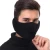 Import Winter Riding Cold-proof Windproof Warm Plush Ski Ear cover Facemask Earmuffs from China