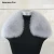 Import Winter Warm Real Fox Fur Collar Fashion Shawls Square Scarf Women from China