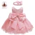 Import Yoliyolei Kids Gown Infant Clothing 1st Birthday Pageant Party Dress Embroidery Formal Lace Girl Baby Dress With Big Bowknot from China
