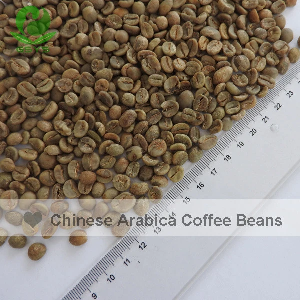 YUNNAN Arabica coffee beans raw coffee bean