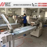 ZP-500 Double film roll fast pillow packing machine with in feeder