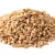 Import Barley Grains Premium Malted Barley Animal Feed Barley Seeds In Stock Low Price Buy Fast Delivery Best Price Available from Tanzania