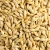 Import Barley Grains Premium Malted Barley Animal Feed Barley Seeds In Stock Low Price Buy Fast Delivery Best Price Available from Tanzania