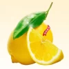 Fresh Lemon A 16 Citric Fruits 71g-104g