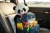 Import SOFT PANDA from United Arab Emirates