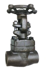 Forged gate valve