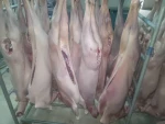 100% Fresh Goat Meat