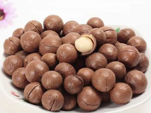 Quality Raw Macadamia Nuts