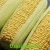 Import Yellow maize from Uzbekistan