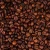 Import coffee bean from VietNam M3 (70% Robusta, 3% Arabica) from Vietnam