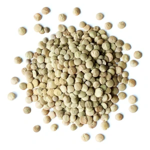 High Quality Dried Brown Lentils Bulk Packaging at Wholesale Price