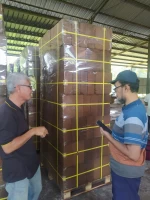 Cocopeat Block