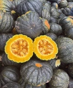 Premium Kabocha Pumpkin Rich in Vitamins and Low in Calories