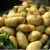 Import China exports high quality potatoes from China
