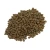 Import High Quality Dried Brown Lentils Bulk Packaging at Wholesale Price from South Africa