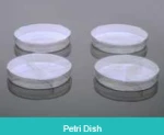 Petri Dishes