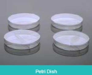 Petri Dishes