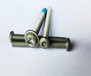 China Factory customized Anti-theft screw (drop resistant)