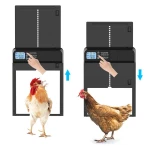 Chicken Coop Door -The Cheapest One