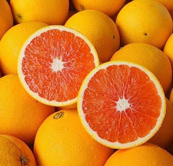 Nine Oranges Buy Premium Valencia Oranges From South Africa from NINE FRUITS EXPORTS ...