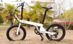 20 inch folding electric bike