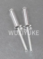 Dome head blind rivet