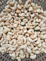 High Quality Cashew Nuts WW240, WW320, Packed in Vacuum Bags