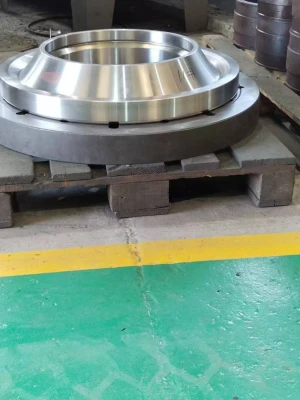 Thrust Spherical Roller Bearing