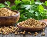 Coriander Seeds