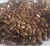 Import Good Quality Bulk Natural Linseed Flax Seeds for Wholesale Purchase from Germany