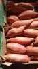 Sweet potatoes