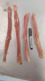Horse Achilles Tendon