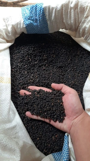 Black Pepper