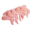 Halal Grade [A] Chicken Feet / Frozen Chicken Paws UK/CHicken Wings