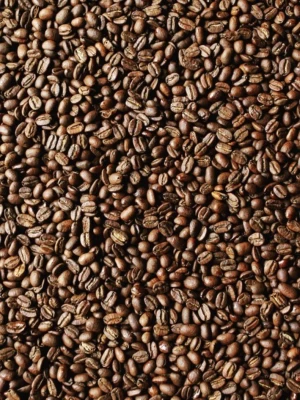 Robusta Roasted Coffee Bean Indonesia