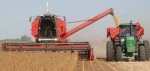 2019 Soft Offer - Soybean # 2 GMO - UP to 200,000 Mt per month