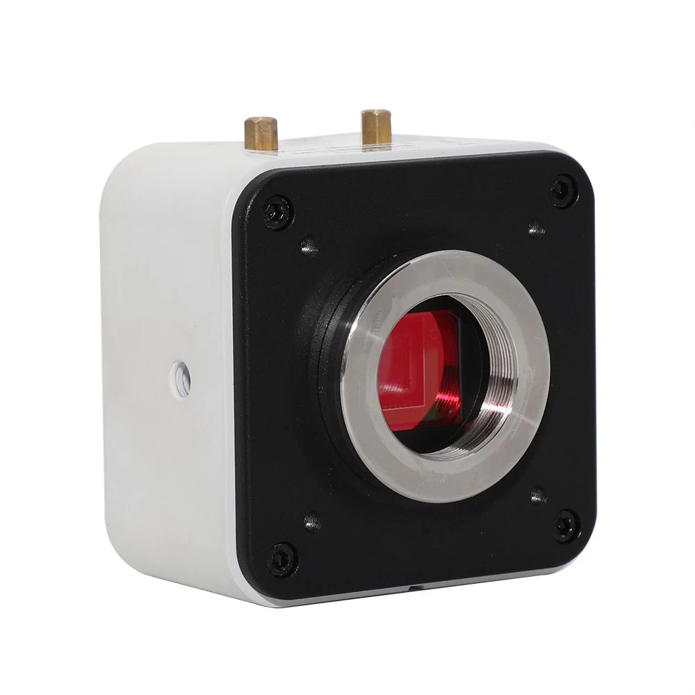Buy Gt5.0 Microscope Color Camera Sony Sensor For Biological Stereo ...