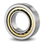 Cylindrical Roller Bearings