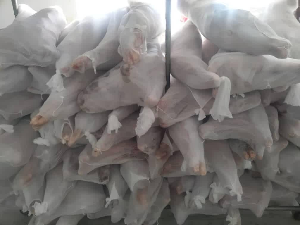 Buy 100 Fresh Goat Meat from BENSIA COMPANY LIMITED, Tanzania