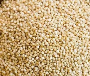 Premium Quality Organic Quinoa from India-Regular/Bold/Red/Tricolor