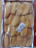 Pasak Bumi, Tongkat Ali (Eucynoma Longifolia)