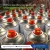 Import Selling All Type Of Gases In Bulk from United Arab Emirates