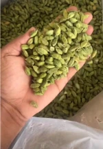 GREEN CARDAMOM