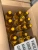 Import Sunflower Oil from Brazil