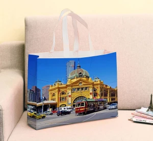 PP Lamination Nonwoven Shopping Bags